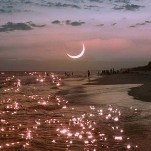 Meet your Posher, Angelika